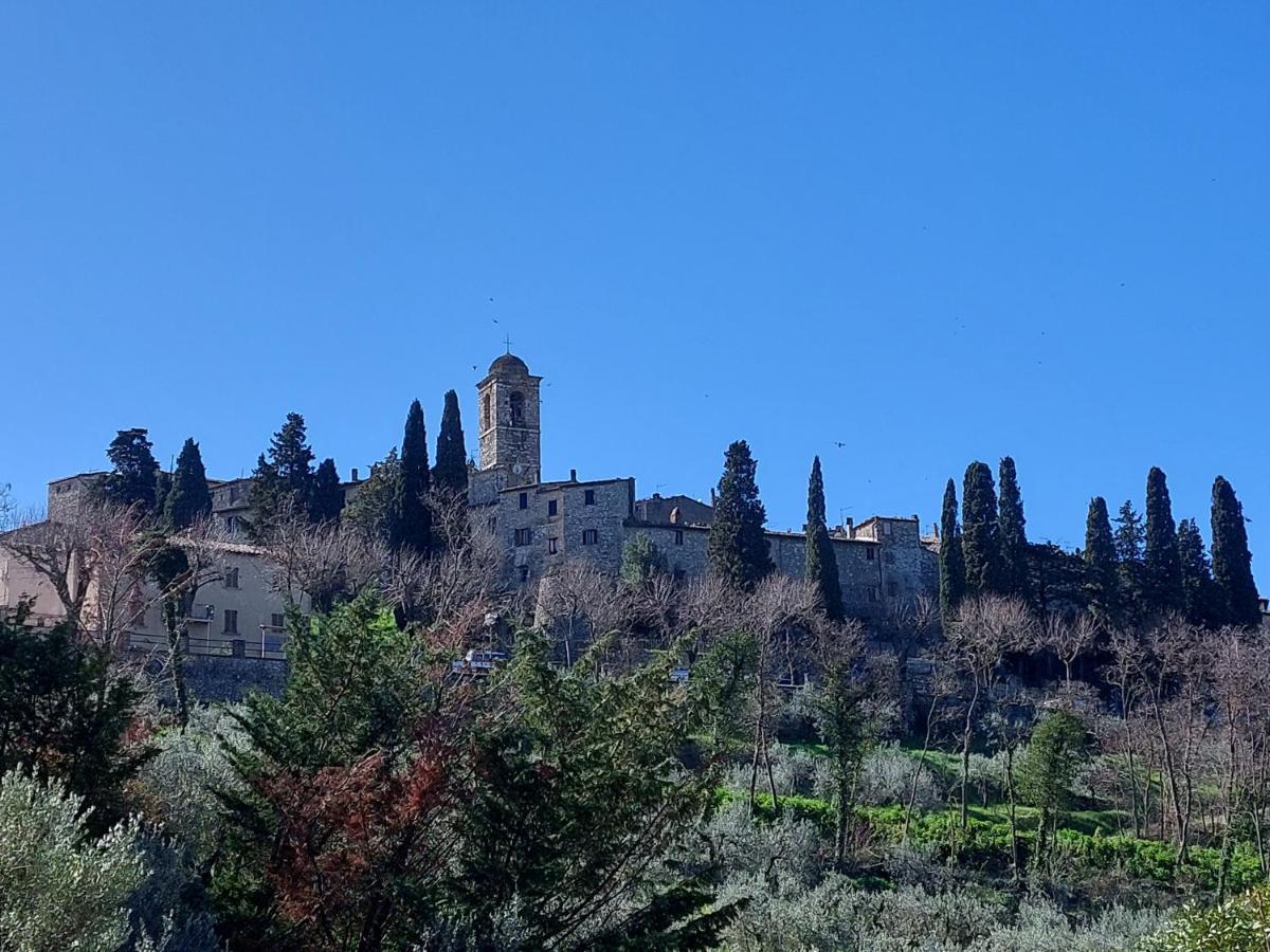 La Selvarella Montecchio  Esterno foto