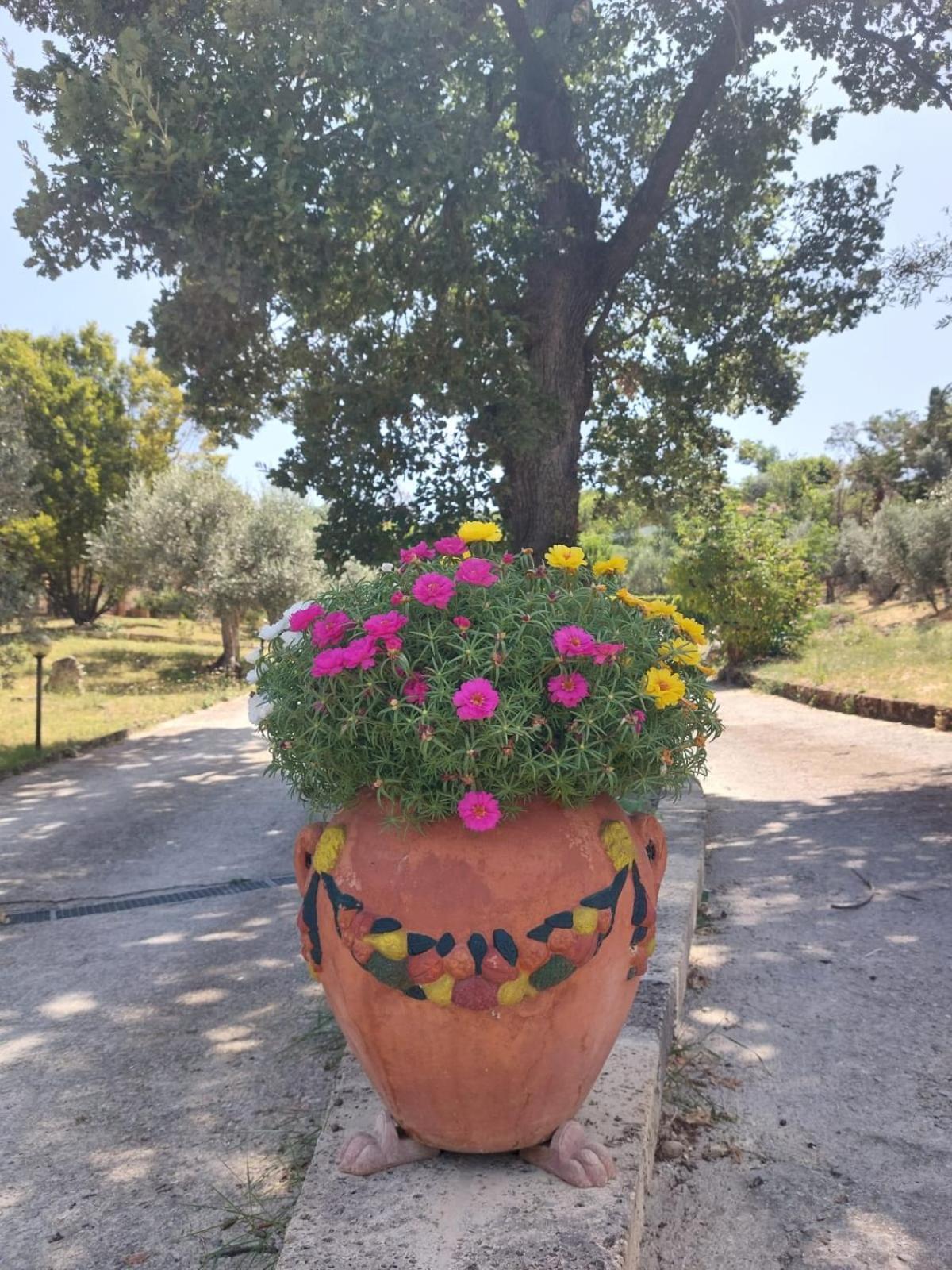 La Selvarella Montecchio  Esterno foto